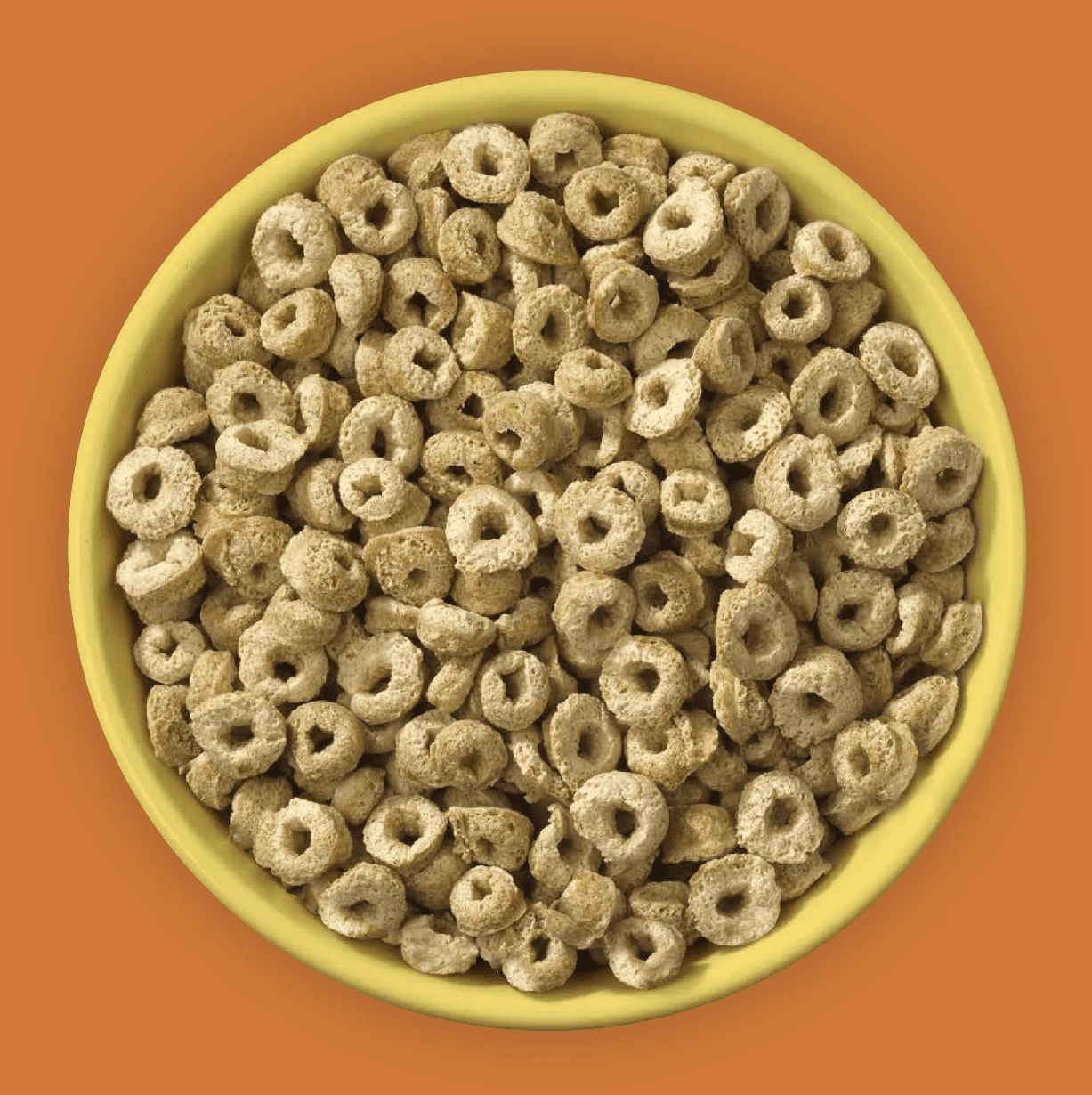Gluten Free Cereal - Farm Girl Inc. - AgriTech North