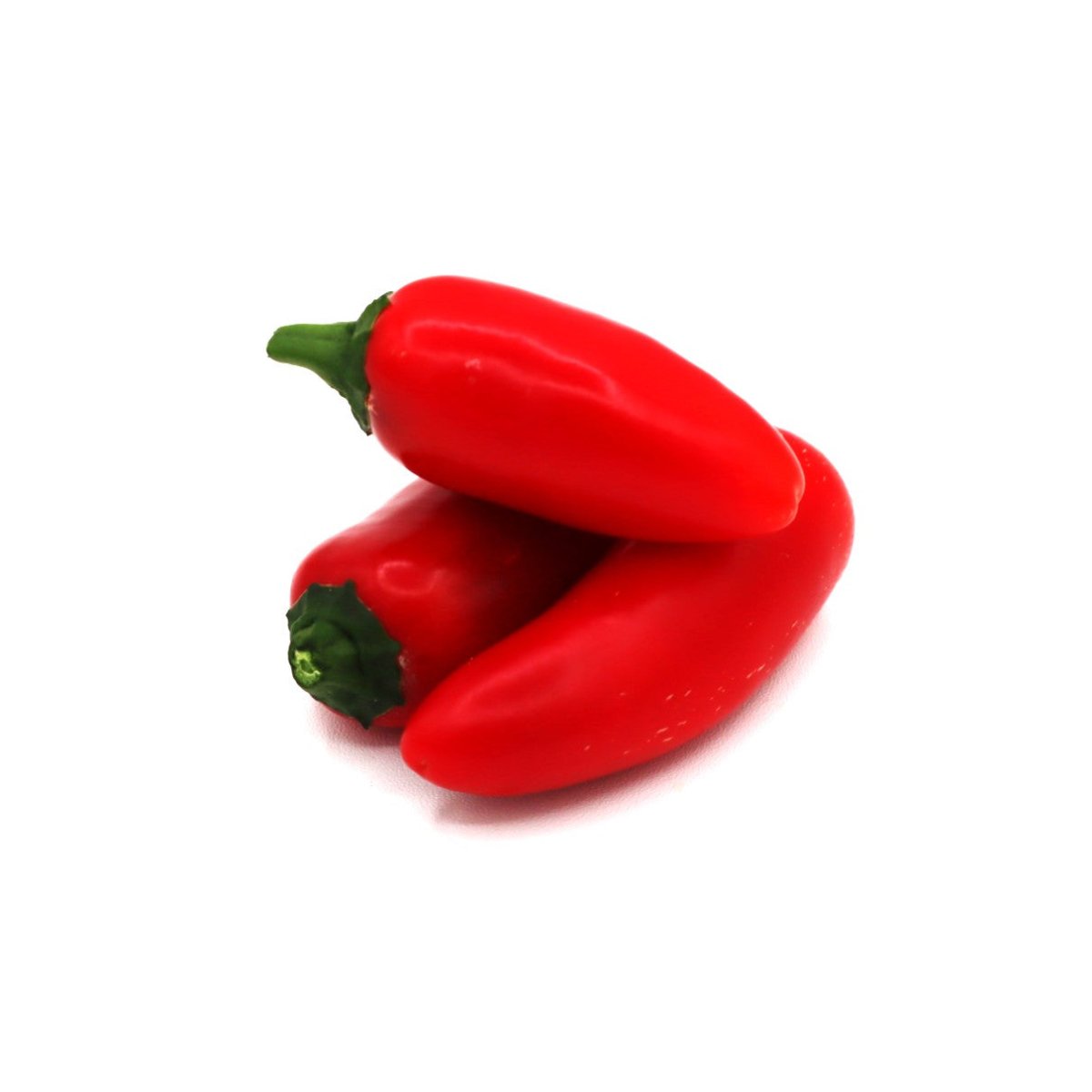 Hot Pepper - Jalapeno - Fresh Harvesting Fruiting Crop | AgriTech North