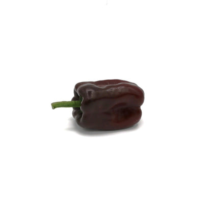 Hot Peppers - Ancho - Fresh Harvest Fruiting Crop | AgriTech North