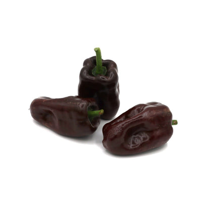 Hot Peppers - Ancho - Fresh Harvest Fruiting Crop | AgriTech North