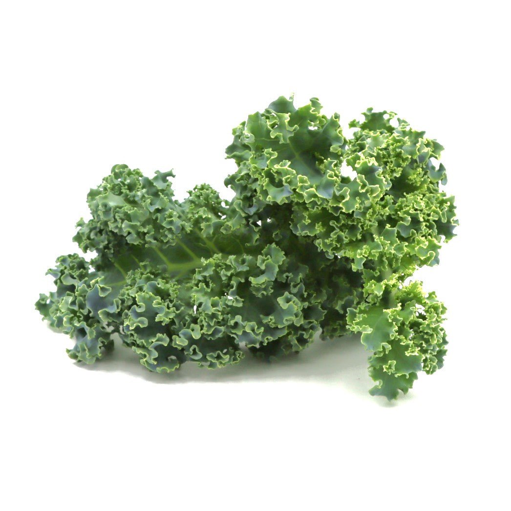 Kale - Darkibor - Fresh Harvest Green - AgriTech North