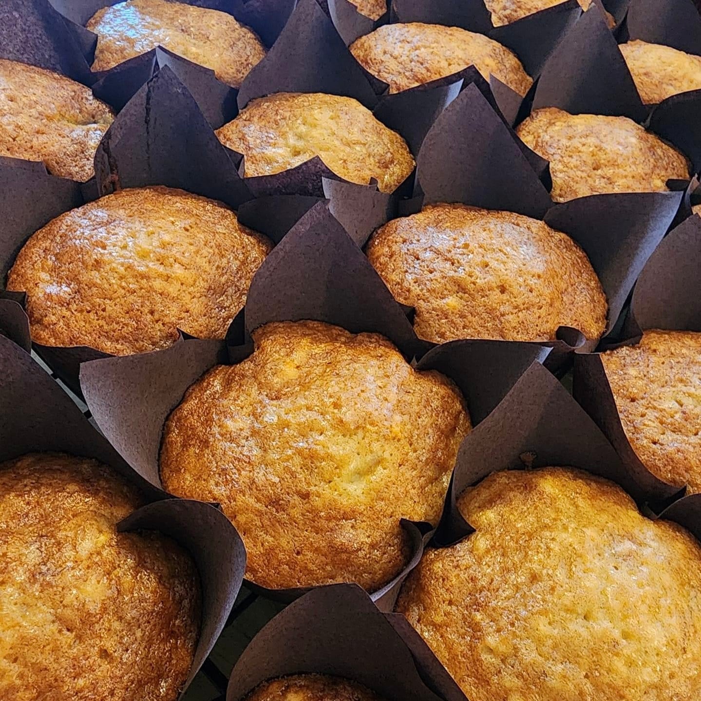 Muffins - Fediuk's Downhome Baking - AgriTech North