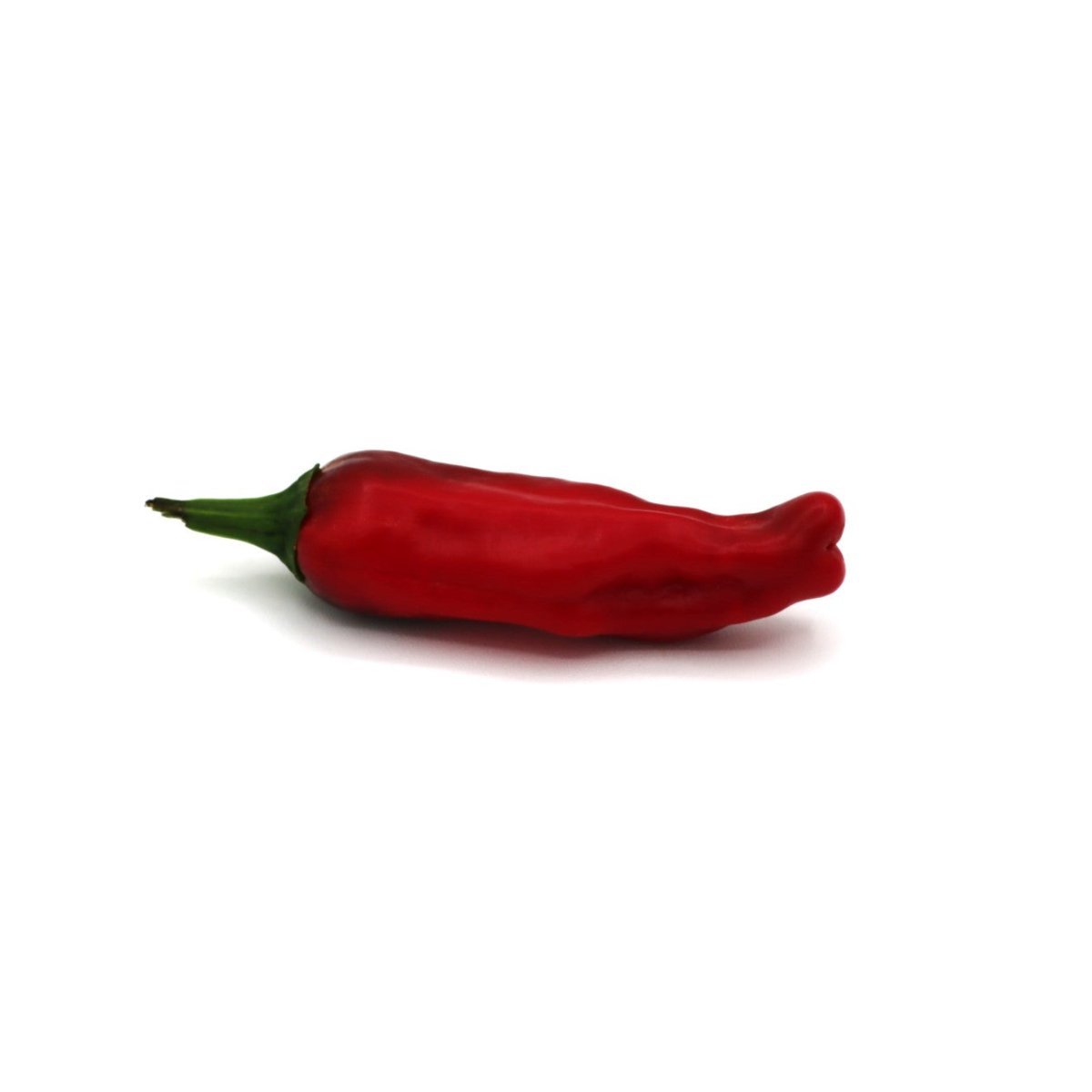 Pepper - Peperoncino - AgriTech North - AgriTech North