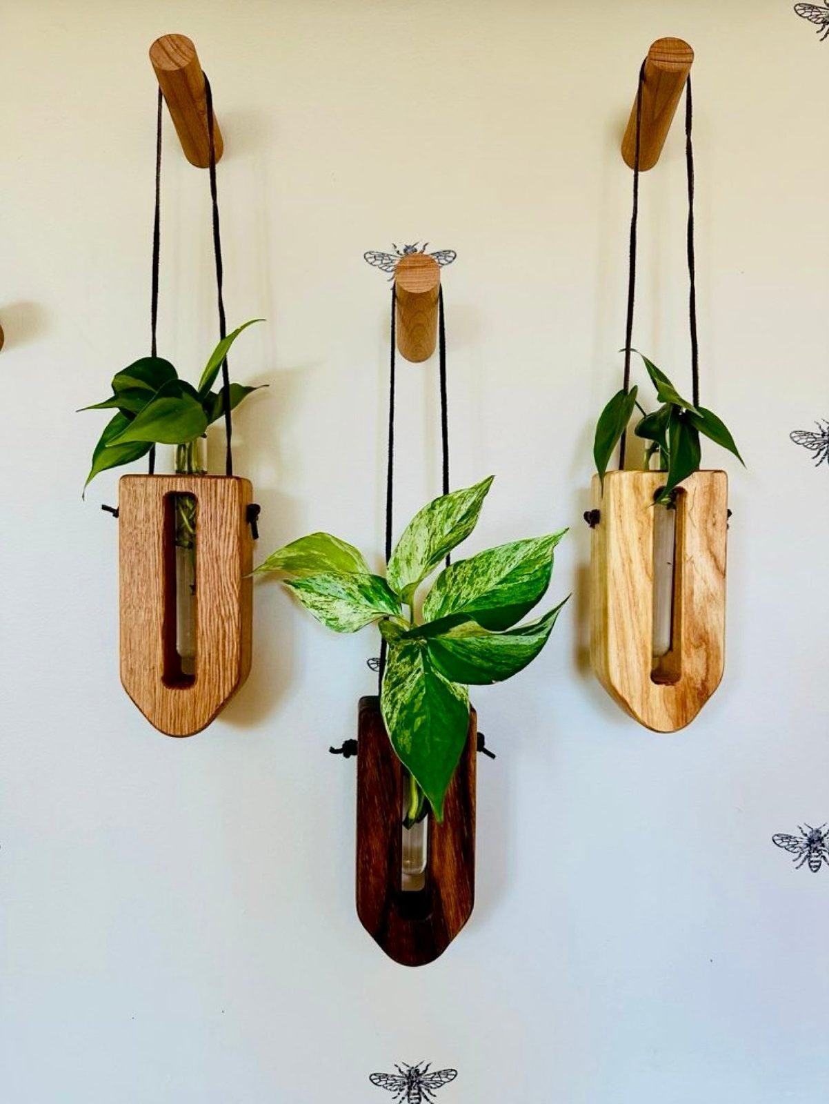 Propagation Stations - Knotty Hound - AgriTech North