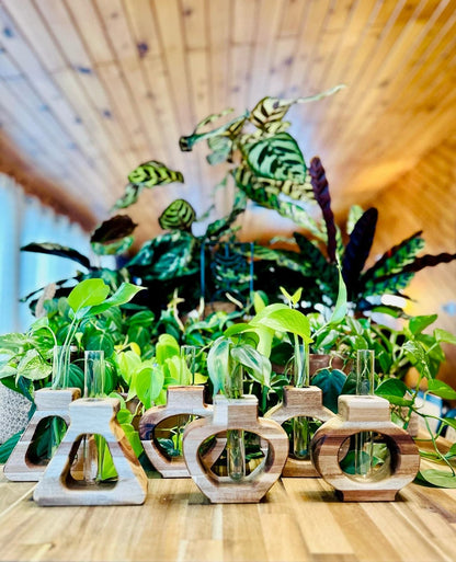 Propagation Stations - Knotty Hound - AgriTech North