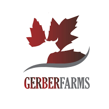 Squash - Gerber Farms - AgriTech North