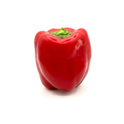 Sweet Peppers - Fresh Harvest Fruiting Crop - AgriTech North