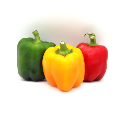 Sweet Peppers - Fresh Harvest Fruiting Crop - AgriTech North