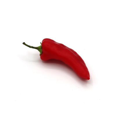 Sweet Peppers - Hungarian Banana - Fresh Harvest Fruiting Crop | AgriTech North
