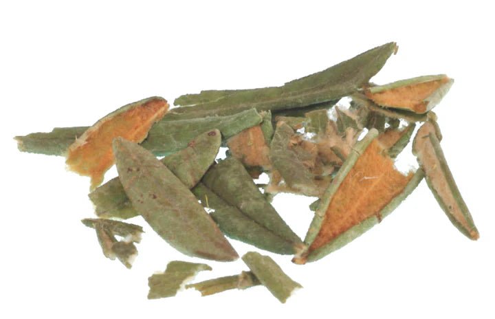 Wild Harvest Tea's - Boreal Heartland - AgriTech North