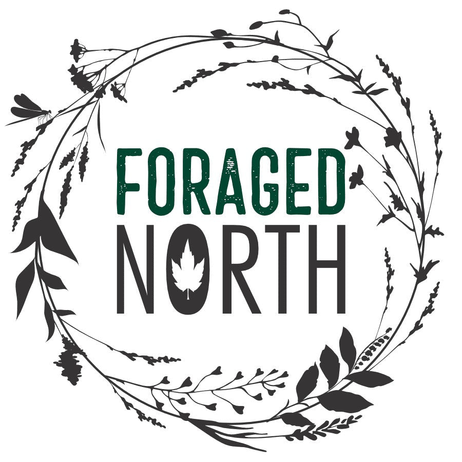 Wild Harvested Herbal Teas - Boreal Tea | Foraged North