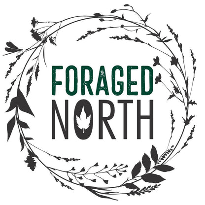 Wild Harvested Herbal Teas - Boreal Tea | Foraged North