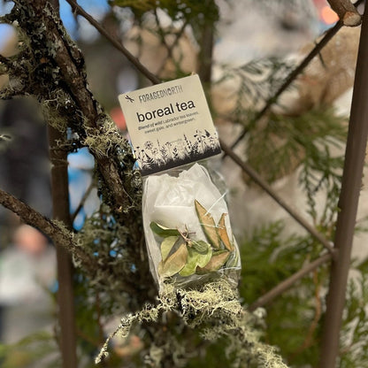 Wild Harvested Herbal Teas - Boreal Tea | Foraged North