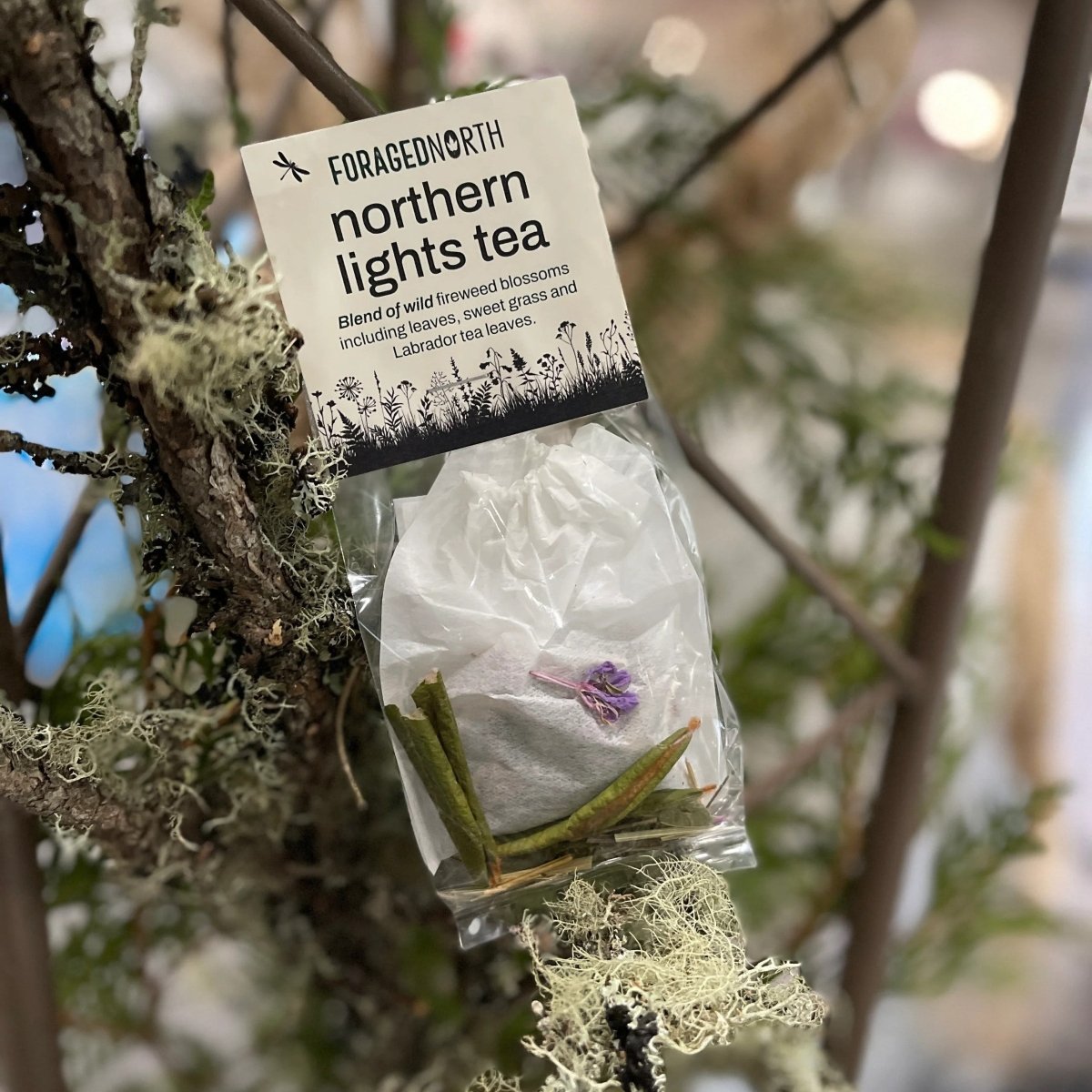 Wild Harvested Herbal Teas - Northern Lights Tea | Foraged North