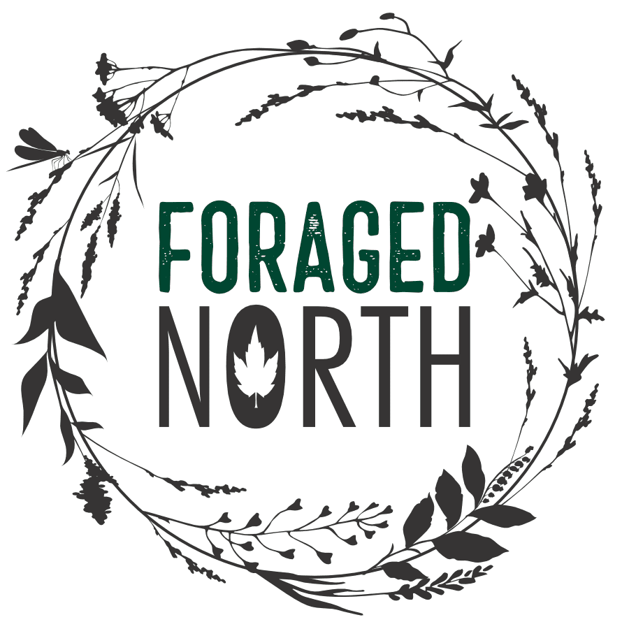 Wild Teas - Foraged North - AgriTech North