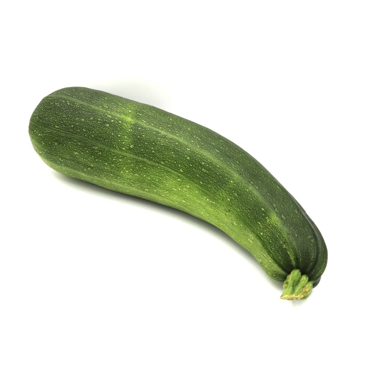 Zucchini - Gerber Farms - AgriTech North