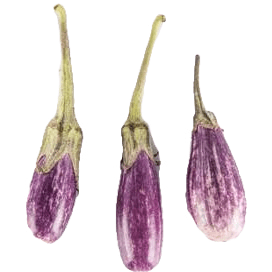 Eggplant - Fairytale