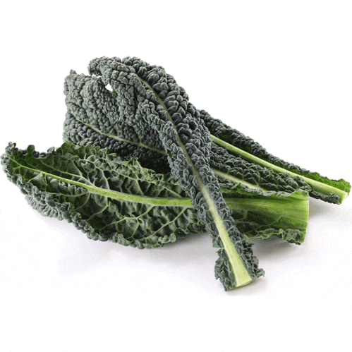 Kale - Lacinato