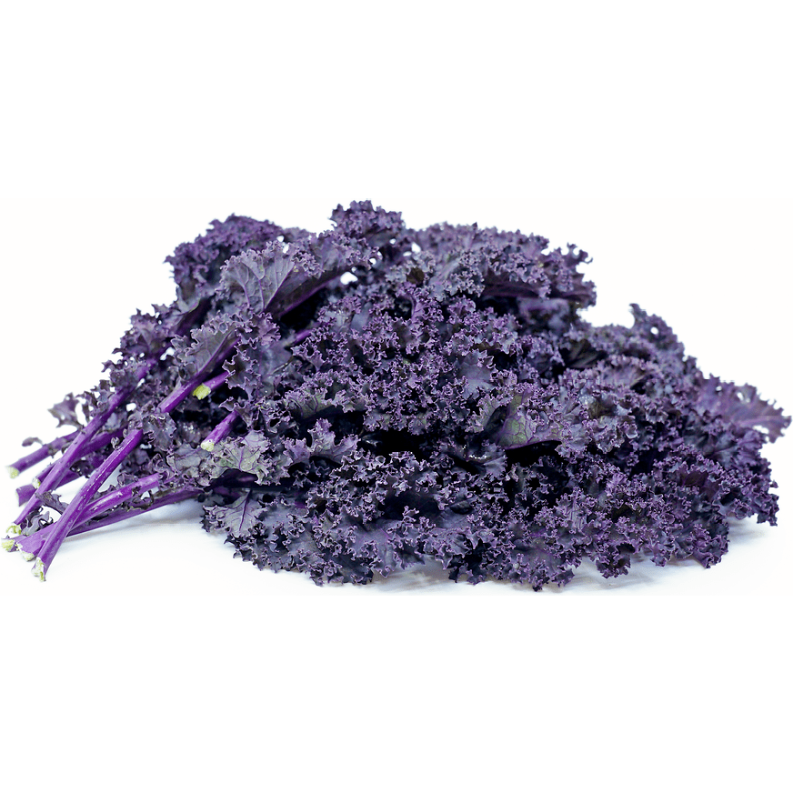 Kale - Purple Moon