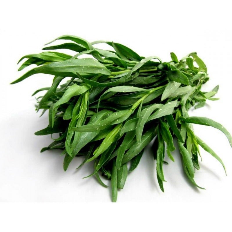 Tarragon - Mexican