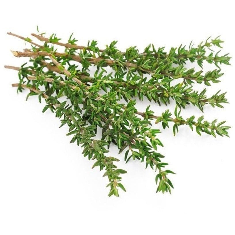 Thyme - French