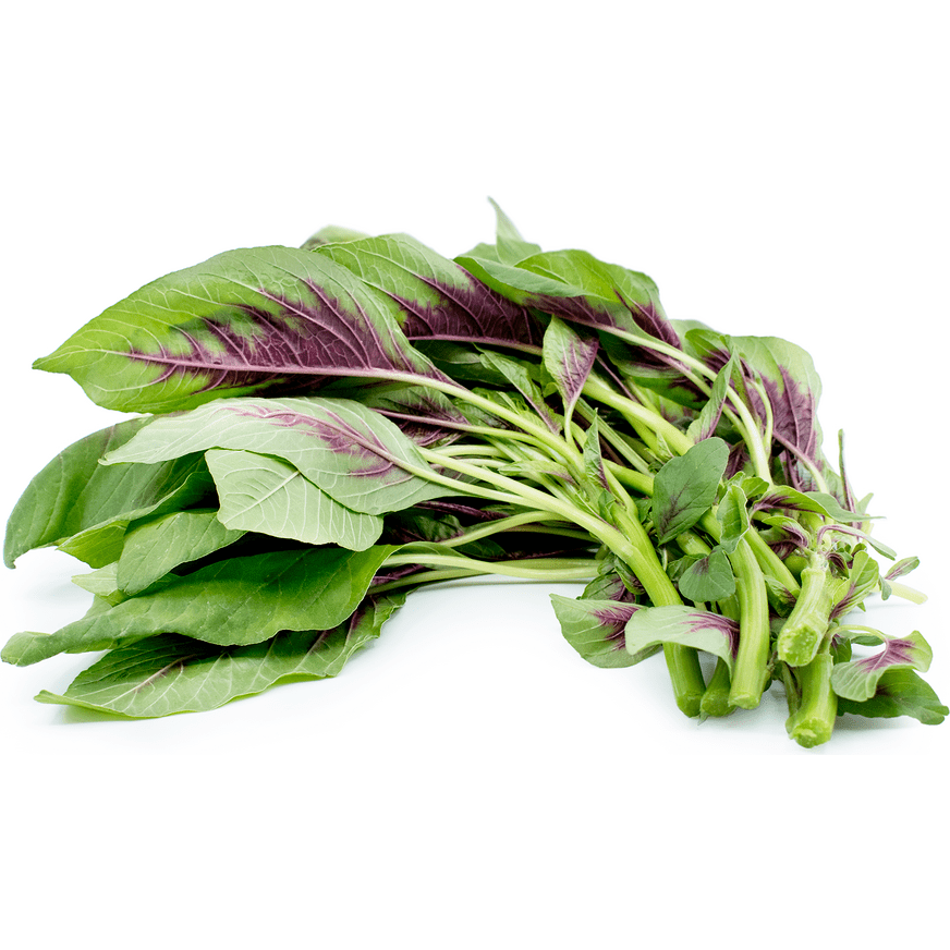Amaranth - Chinese Spinach - AgriTech North - AgriTech North