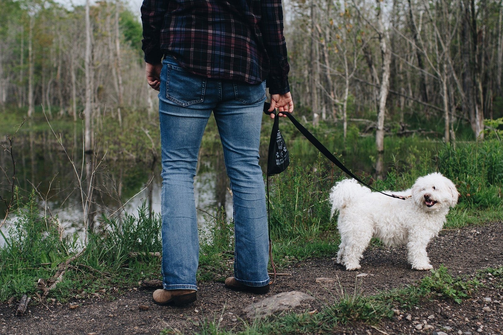 Bags - Dog Waste - BioBag - AgriTech North