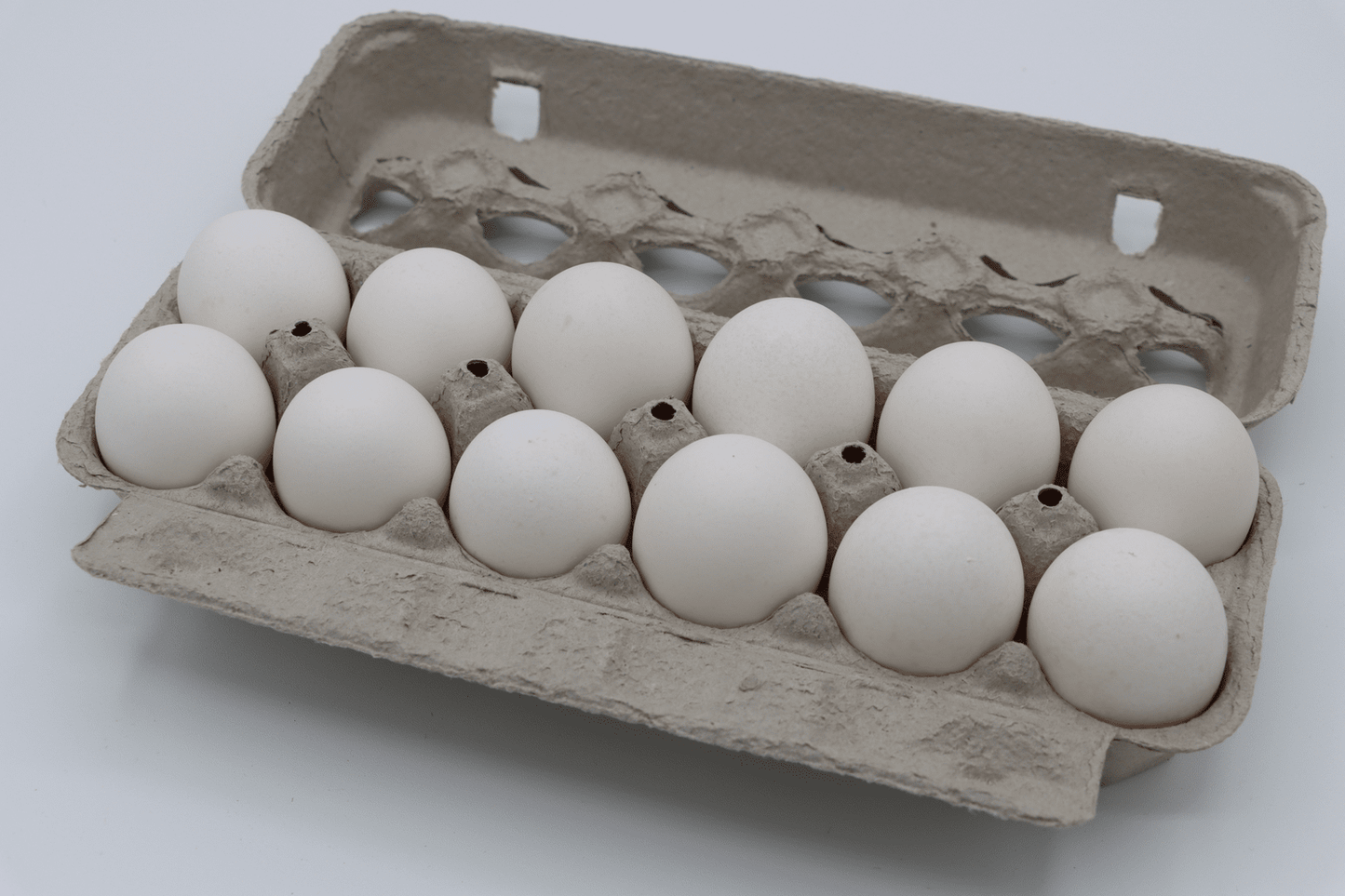 Eggs - Gerber Farms - AgriTech North