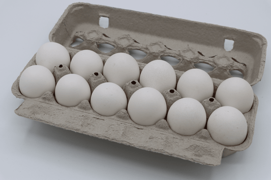 Eggs - Gerber Farms - AgriTech North