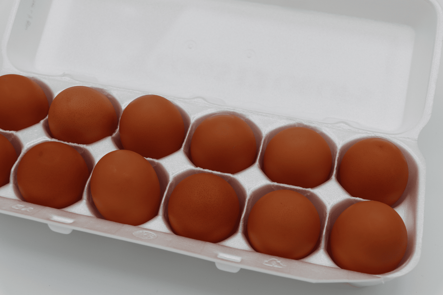 Eggs - Gerber Farms - AgriTech North