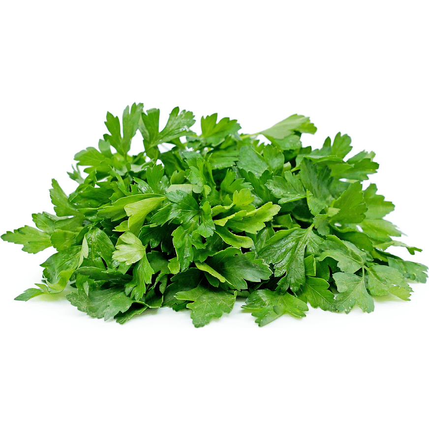 Parsley - Giant of Italy - AgriTech North - AgriTech North