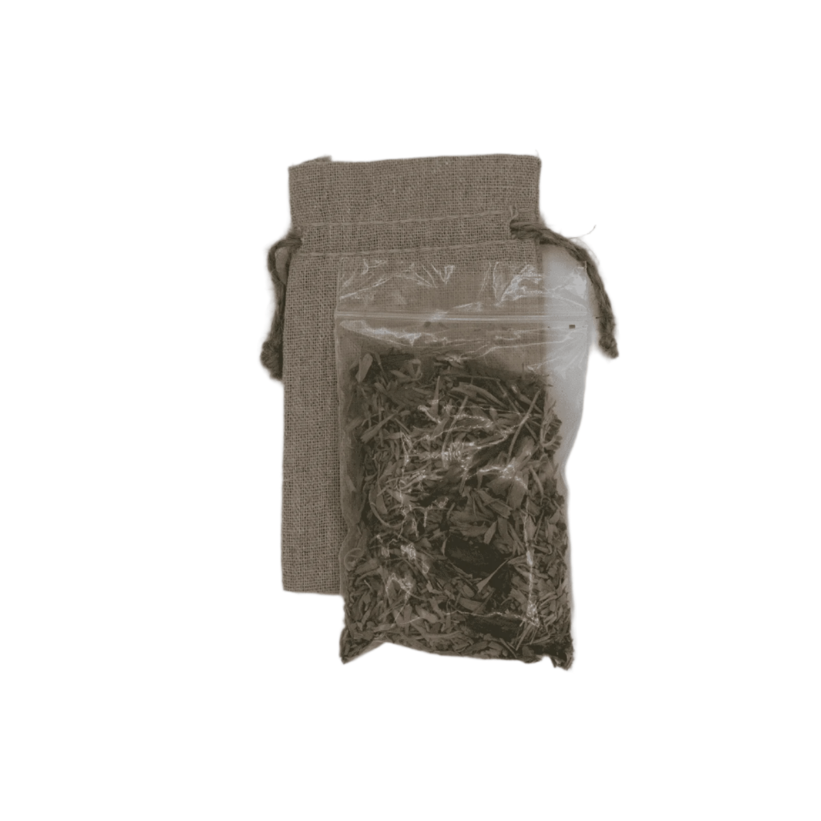 Smudge - Up the Hill at Loakin - AgriTech North